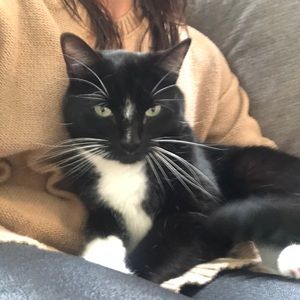 Meet your Posher, Kristy